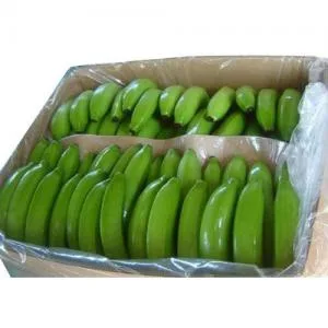 Banane Vert Bonita 18kg Carton