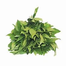 Feuille De Bissap Frais Le Kg