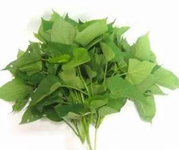 Feuille De Patate Douce Le Kg