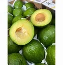 Avocat Tropical Carton 4.5kg