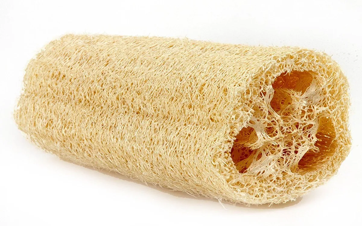 Loofah