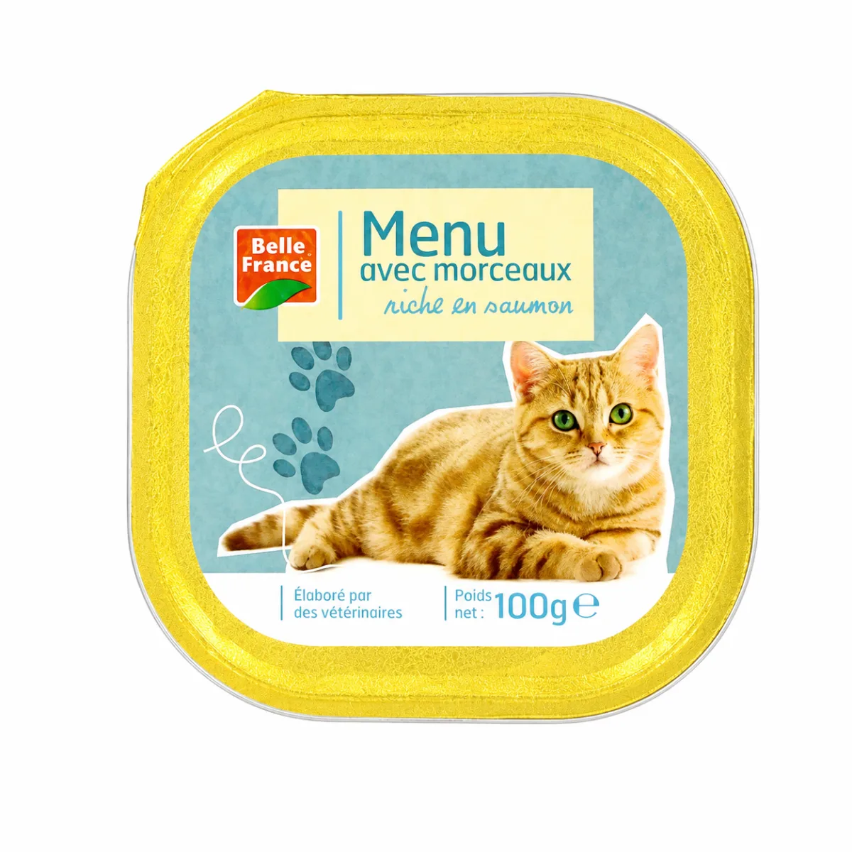 Barquette Chat Saumon 100g Bf/16