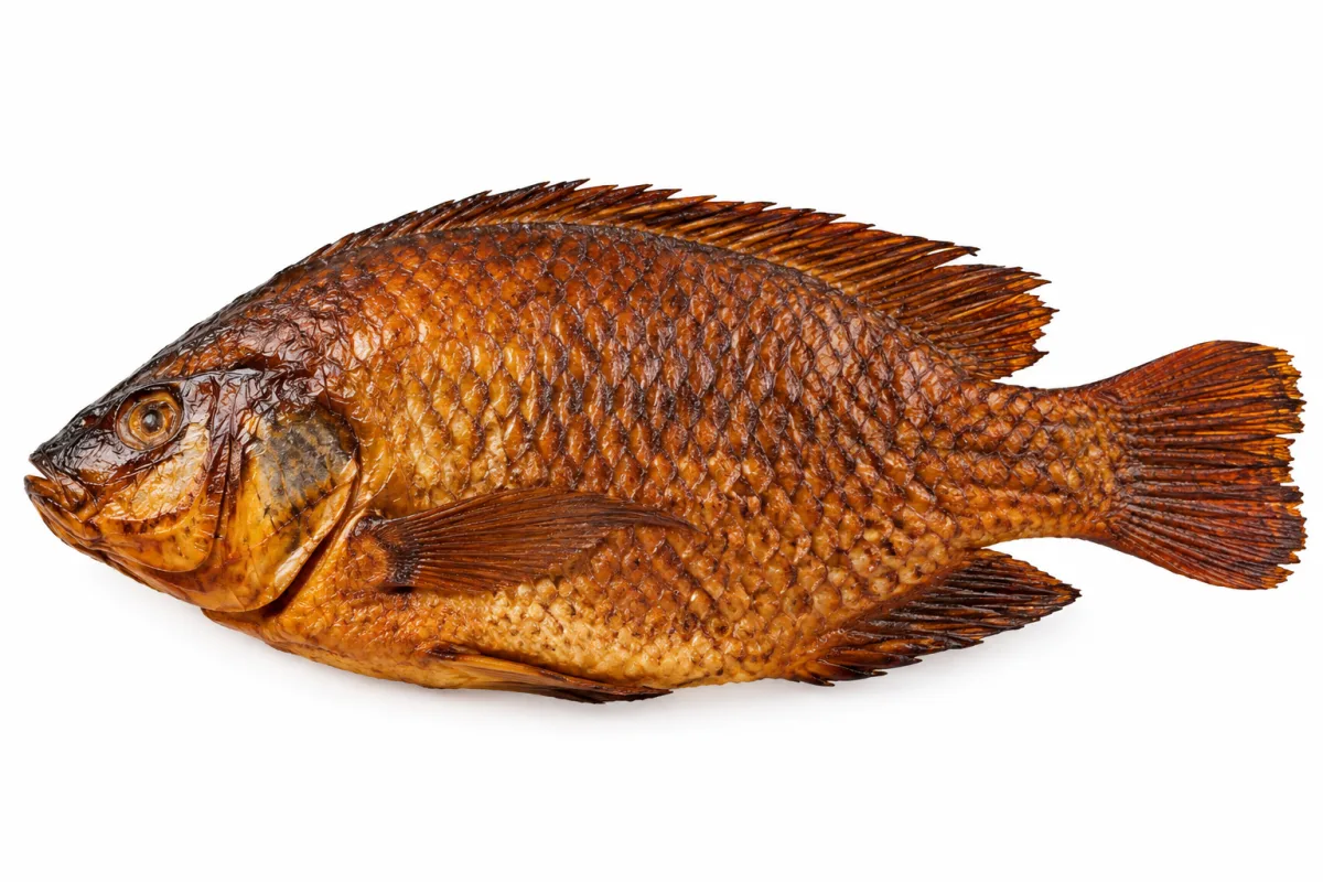 Tilapia Fume Le Kg