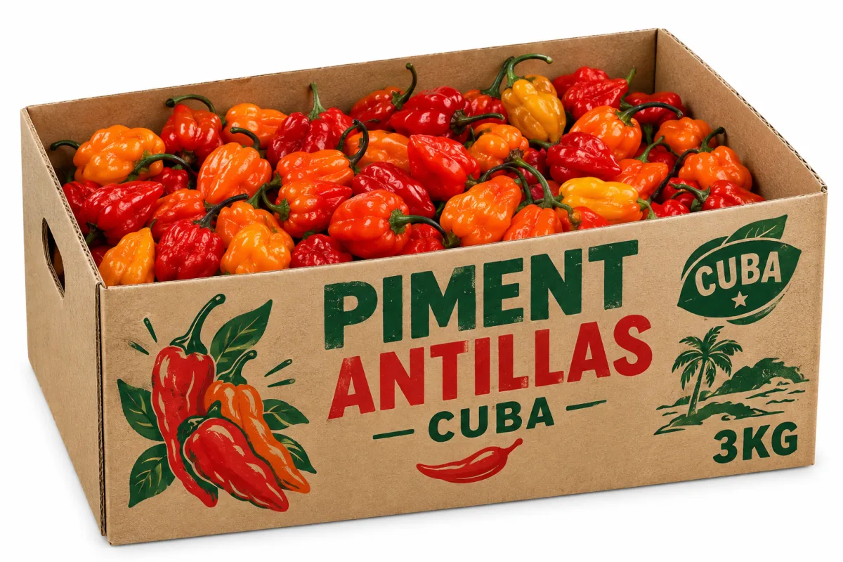 Piment Antillas Cuba 3kg Cuba