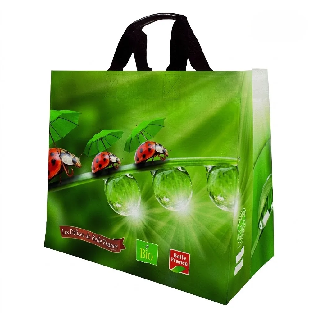 Sac Cabas Decorees Reutilisables Bf /30 Belle France